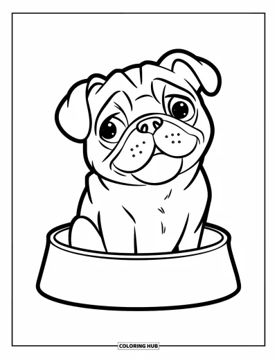 Coloriage de carlin pour enfants : Un carlin souriant avec des oreilles tombantes est assis à l’intérieur d’une gamelle pour chien, regardant vers le haut avec curiosité