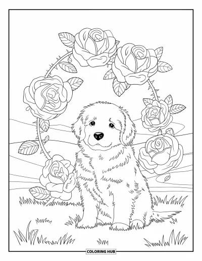 Coloriage de chiots pour adultes : Un chiot Golden Retriever duveteux est entouré de roses en fleurs et de feuilles détaillées