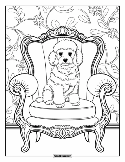 Coloriage de chiots pour adultes : Un chiot Caniche gracieux se repose dans un fauteuil raffiné aux détails complexes
