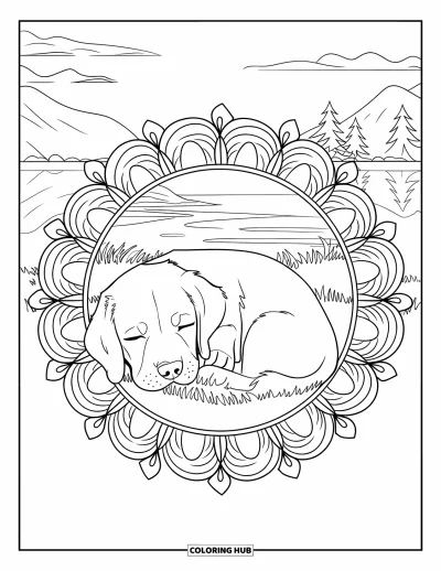Coloriage de chiots pour adultes : Un chiot Labrador Retriever se repose dans un mandala floral circulaire, entouré de nature