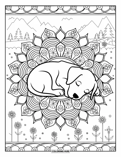 Coloriage de chiots pour adultes : Un chiot Labrador Retriever dort paisiblement, niché dans un motif floral de style mandala