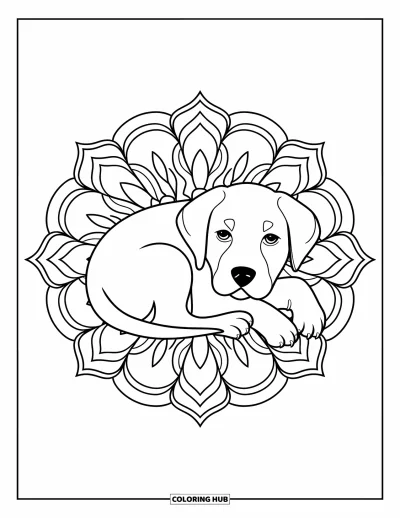 Coloriage de chiots pour adultes : Un chiot Labrador Retriever paisible dort au cœur d’un élégant motif floral mandala