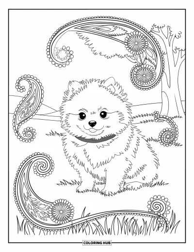 Coloriage de chiots pour adultes : Un chiot Spitz nain se repose paisiblement, entouré d’élégants motifs floraux et cachemire
