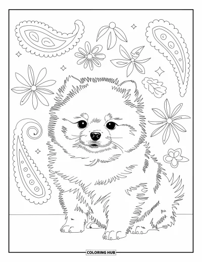Coloriage de chiots pour adultes : Un minuscule chiot Spitz nain est assis dans un champ herbeux, entouré de motifs floraux complexes