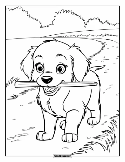 Coloriage de chiots pour enfants : Un chiot Golden Retriever duveteux tient un bâton dans sa gueule en restant debout dans un champ