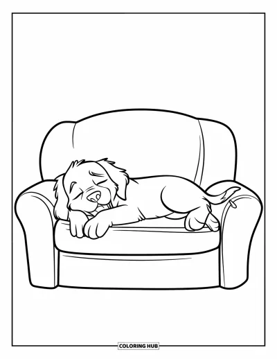 Coloriage de chiots pour enfants : Un chiot Golden Retriever s’endort sur un canapé, entouré de coussins moelleux