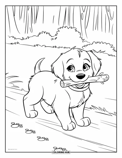 Coloriage de chiots pour enfants : Un chiot Golden Retriever porte fièrement un petit bâton le long d’un chemin de terre