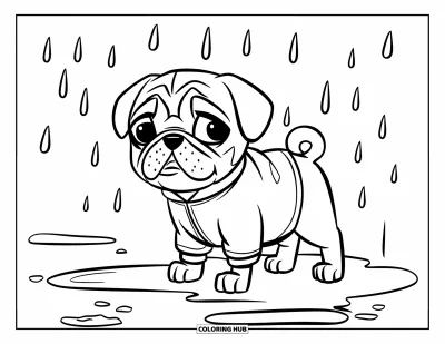 Coloriage de chiots pour enfants : Un chiot Carlin joueur en imperméable se tient sur des pavés mouillés près d’une flaque