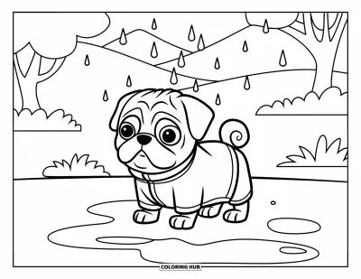 Coloriage de chiots pour enfants : Un chiot Carlin en imperméable se tient près d’une flaque pendant que la pluie tombe autour de lui