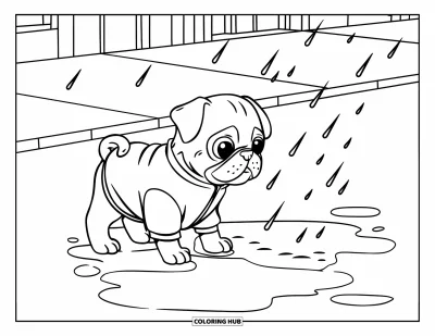 Coloriage de chiots pour enfants : Un chiot Carlin en imperméable observe une flaque, intrigué par les petites gouttes de pluie