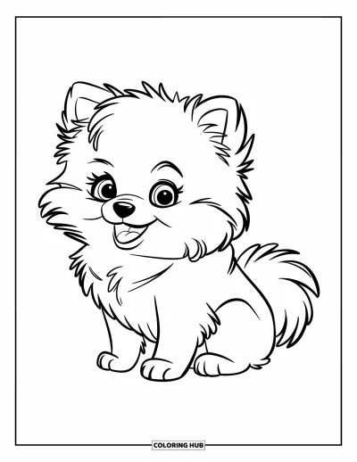 Coloriage de chiots pour enfants : Un minuscule chiot Spitz nain au pelage doux est assis joyeusement, prêt à jouer