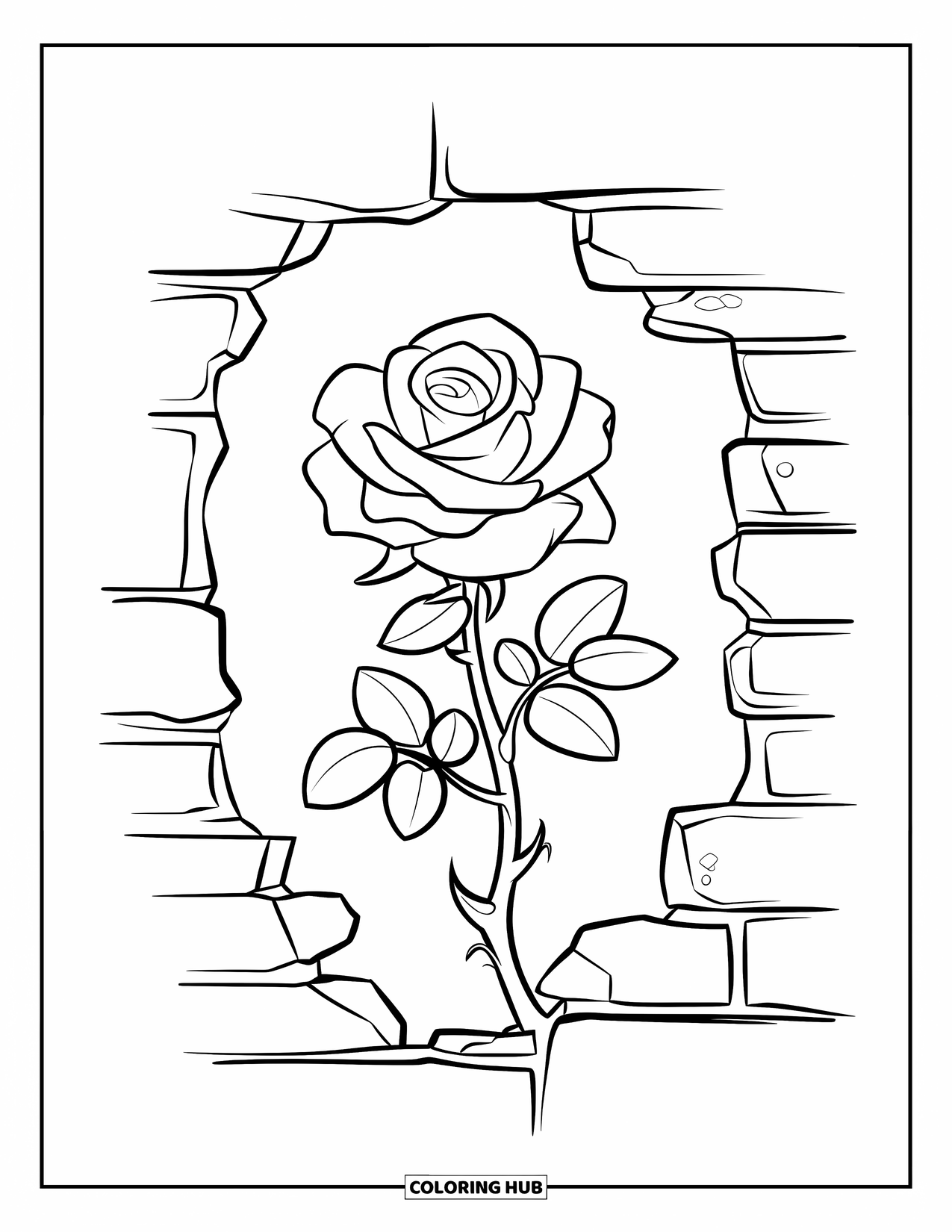 Desenho de rosa para colorir para crianças: Uma rosa florescendo emergindo das rachaduras de uma velha parede de pedra