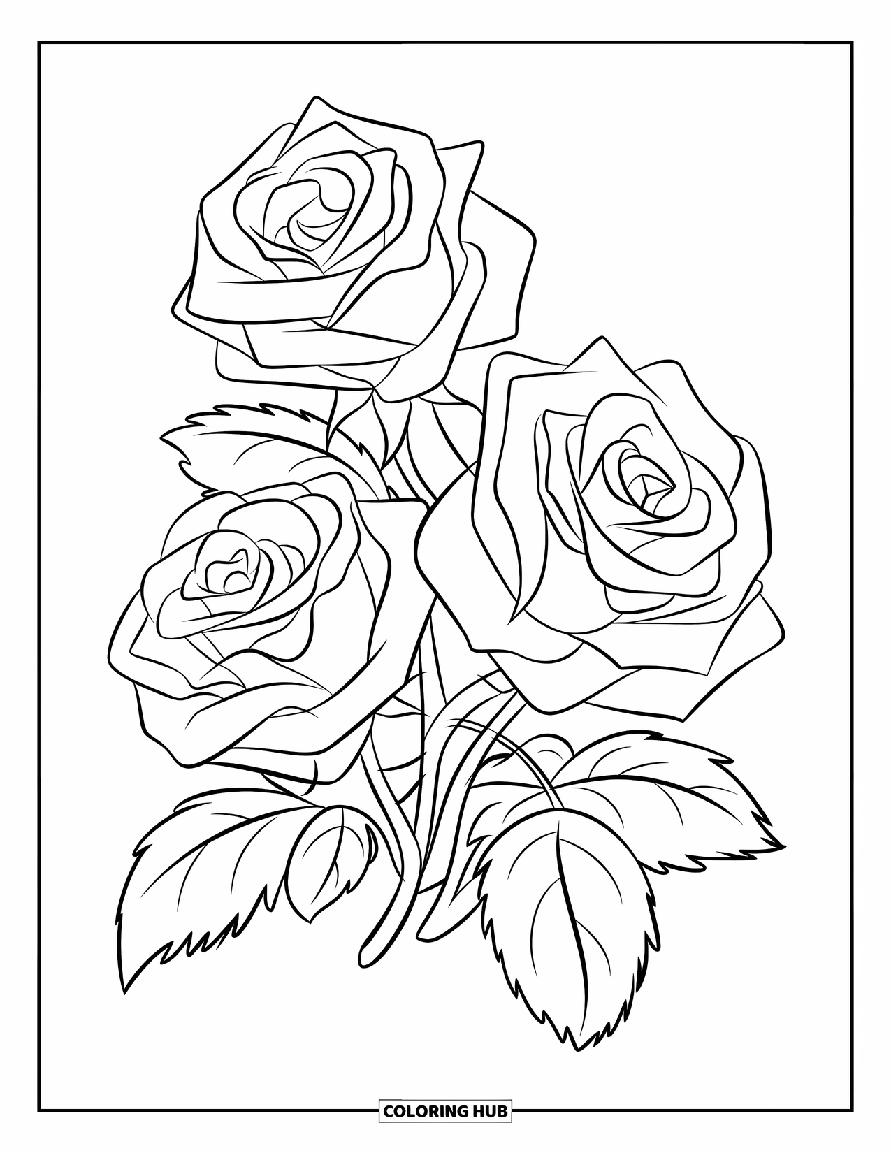 Desenho de rosa para colorir para crianças: Um buquê de três rosas embrulhadas juntas em um arranjo floral simples