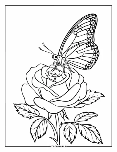 Rose Coloring Page for Kids: A delicate butterfly resting on a rose, its wings spread wide
