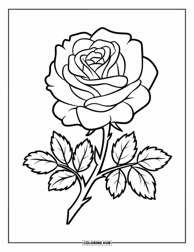 Rose Coloring Page for Kids: A fully bloomed rose with a sturdy stem and bold leaves