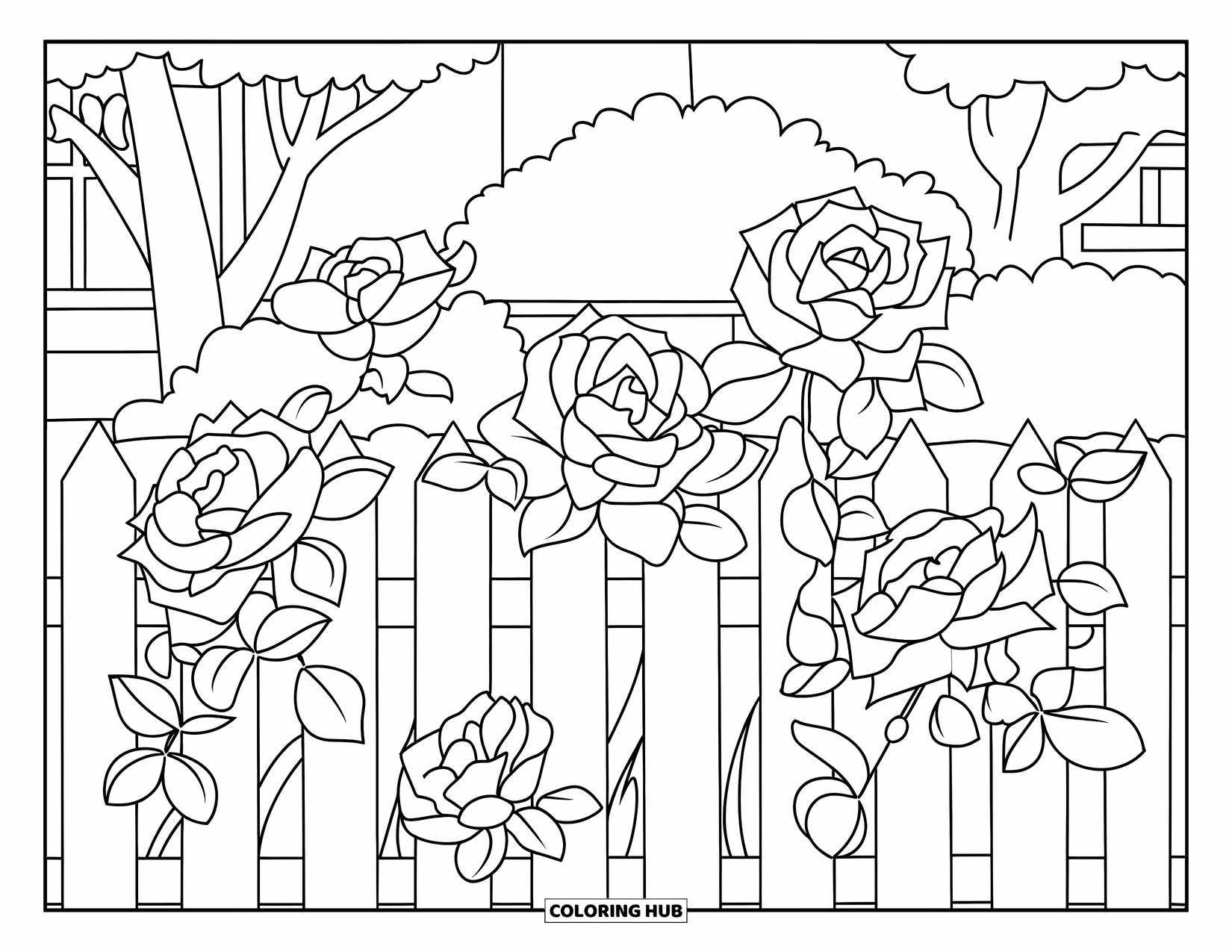 Desenho de rosa para colorir para crianças: Um jardim com uma cerca de piquete alinhada com rosas florescendo e uma casa distante