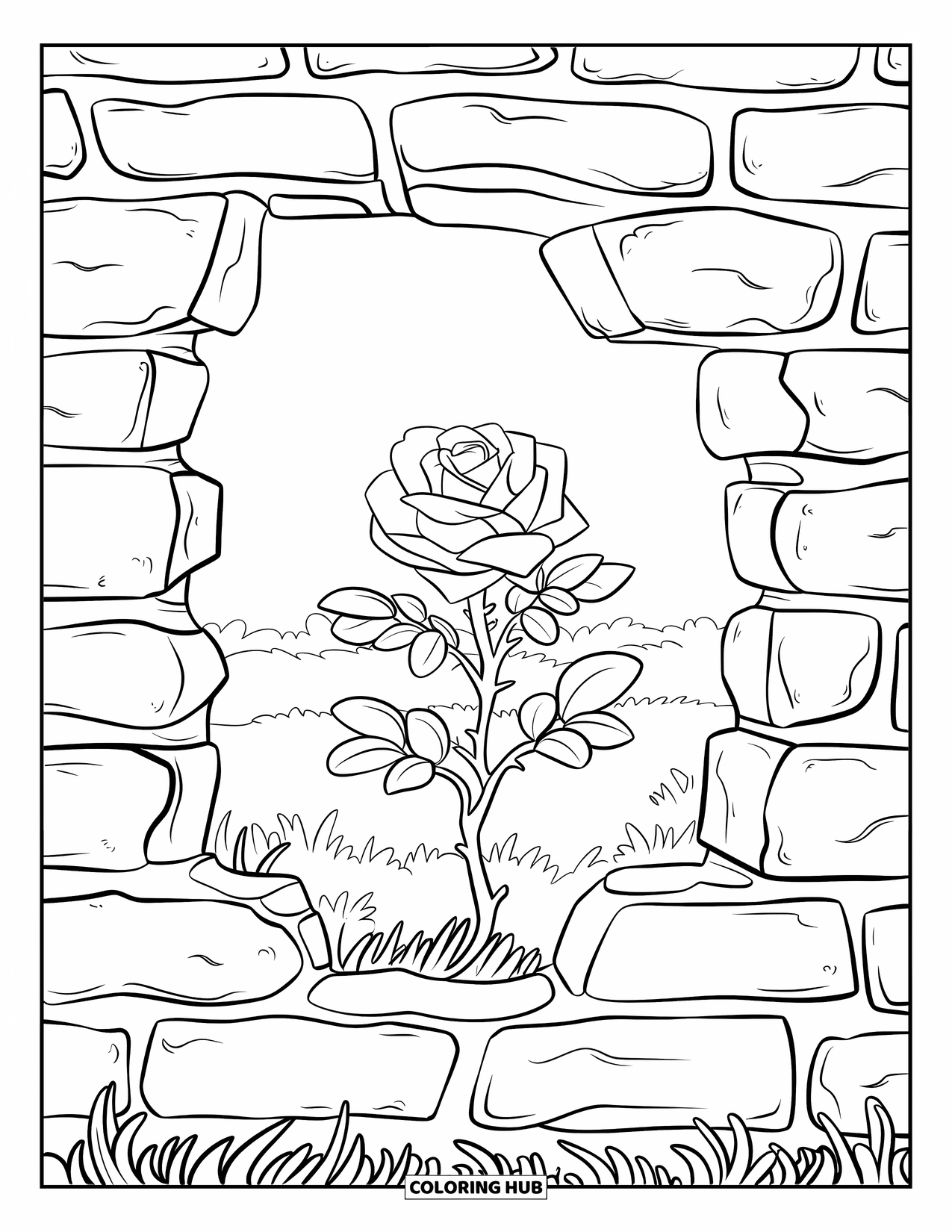 Desenho de rosa para colorir para crianças: Uma rosa crescendo através das rachaduras de uma parede de pedra desgastada em um campo exuberante
