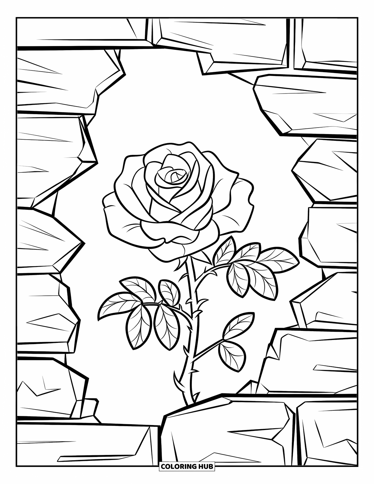 Desenho de rosa para colorir para crianças: Uma rosa com pétalas grandes florescendo através das rachaduras de uma antiga parede de pedra