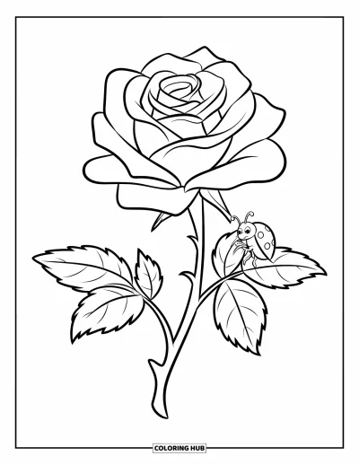 Rose Coloring Page for Kids: A single rose with swirly petals and a tiny ladybug resting on a leaf
