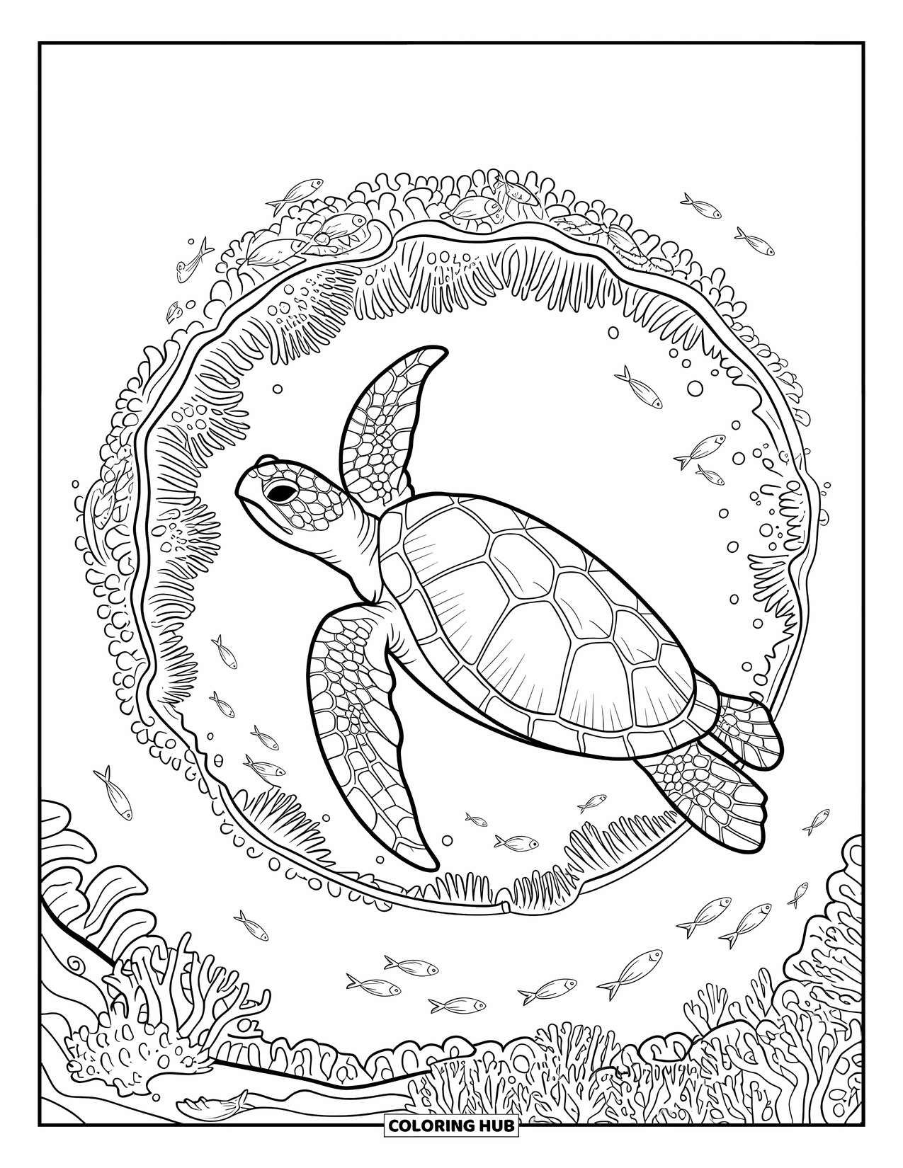Sea Turtle Coloring Page for Adults: A sea turtle with a textured shell gliding above a reef filled with fish and anemones