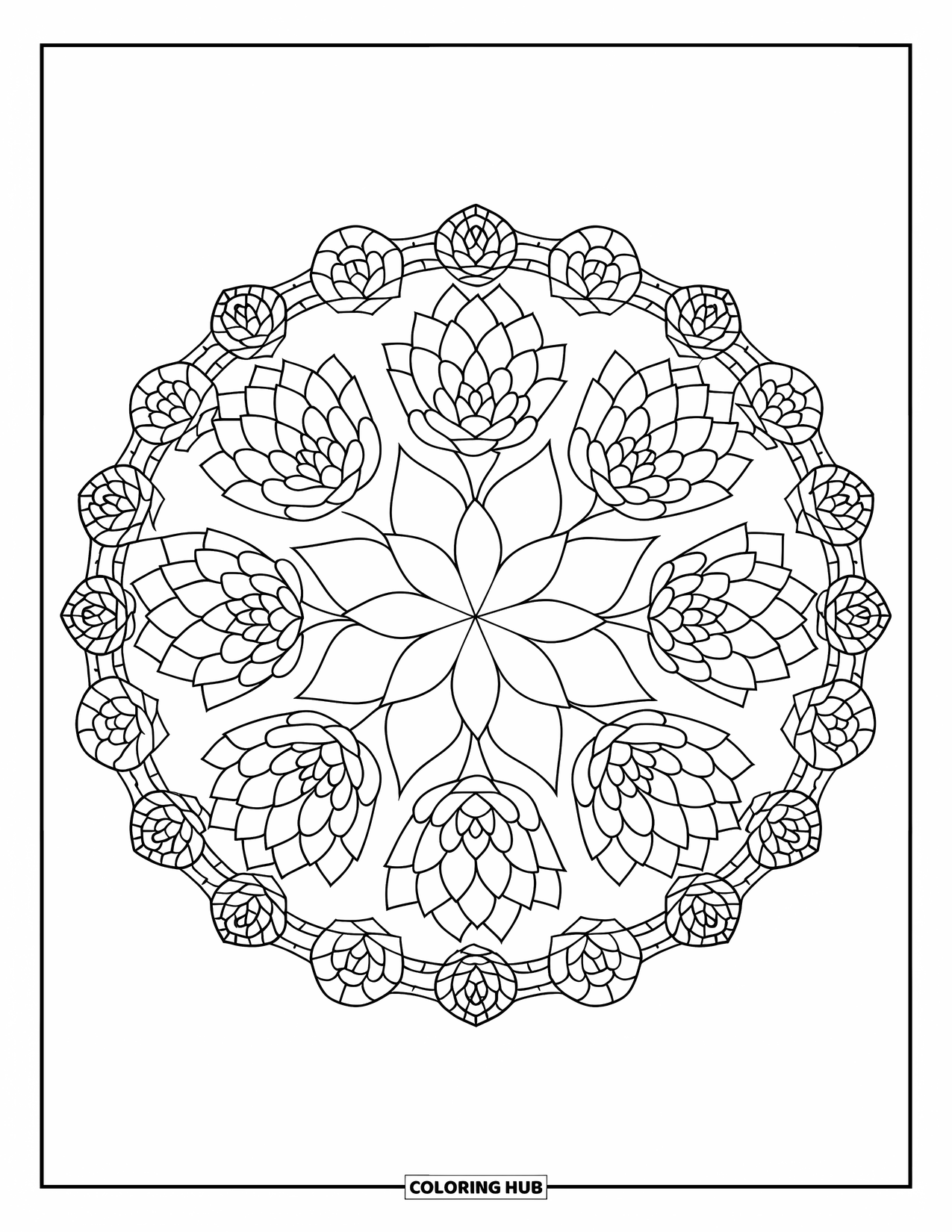 Vetplant Kleurplaat voor Volwassenen: Een geometrische rand omlijst een symmetrisch vetplantpatroon, waardoor een visueel ingewikkeld ontwerp ontstaat