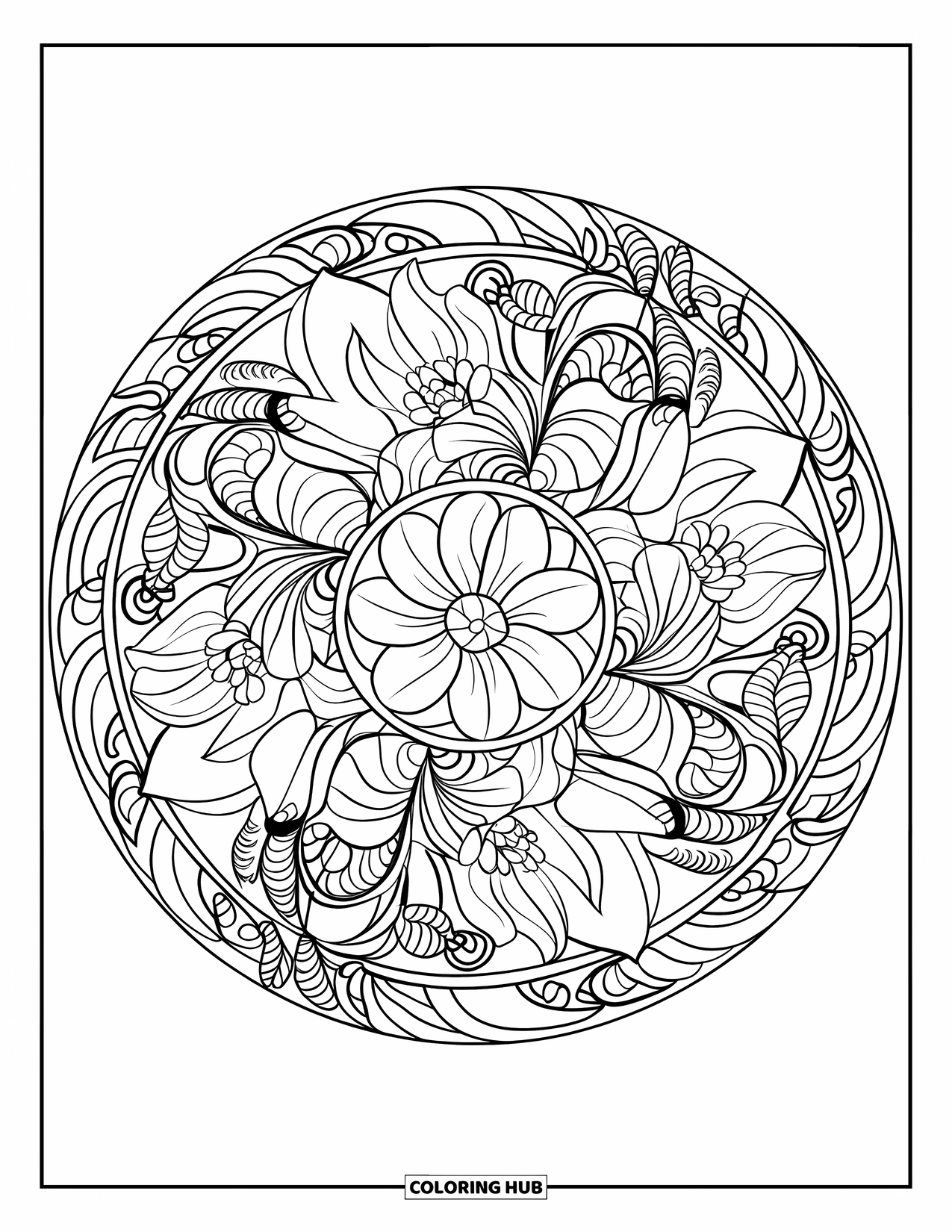 Vetplant Kleurplaat voor Volwassenen: Een ingewikkelde mandala met gelaagde vetplanten en wervelende bloemelementen vult de pagina