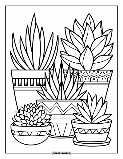Coloriage de succulentes pour enfants : Un groupe de succulentes, chacune dans des pots uniques, repose sur un simple fond blanc