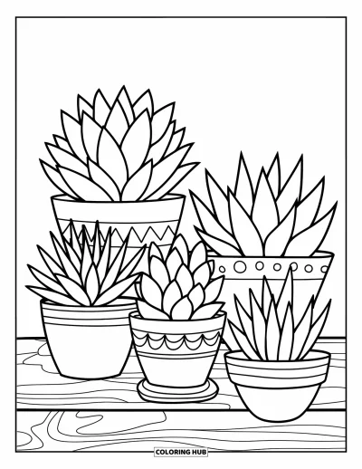Coloriage de succulentes pour enfants : Un groupe de succulentes dans des pots décoratifs repose sur une surface en bois