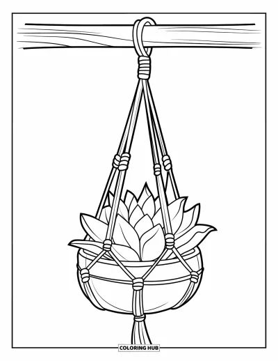 Coloriage de succulentes pour enfants : Un support à plantes en macramé fait à la main est suspendu à une poutre, tenant une succulente à feuilles épaisses