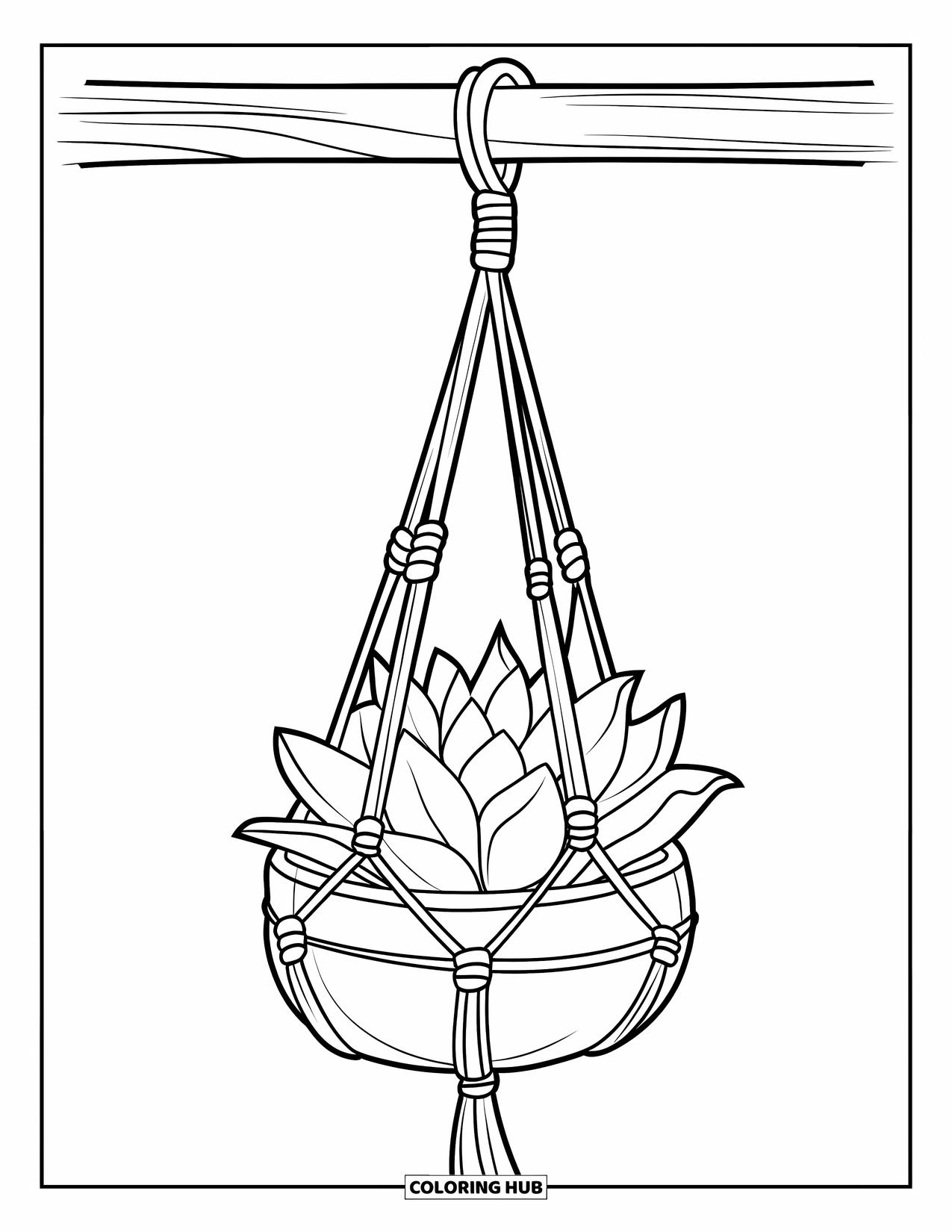 Vetplant Kleurplaat voor Kinderen: Een handgemaakte macramé plantenhouder hangt aan een balk en houdt een vetplant met dikke bladeren vast