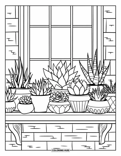 Coloriage de succulentes pour enfants : Une étagère rustique avec des succulentes assorties repose contre un mur de briques avec une fenêtre