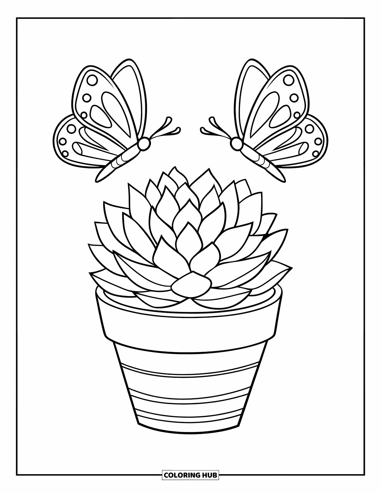 Vetplant Kleurplaat voor Kinderen: Een kleine vetplant in een gestreepte pot zit onder twee fladderende vlinders
