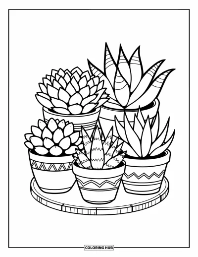 Coloriage de succulentes pour enfants : Cinq succulentes distinctes dans des pots décoratifs posés sur une surface en bois