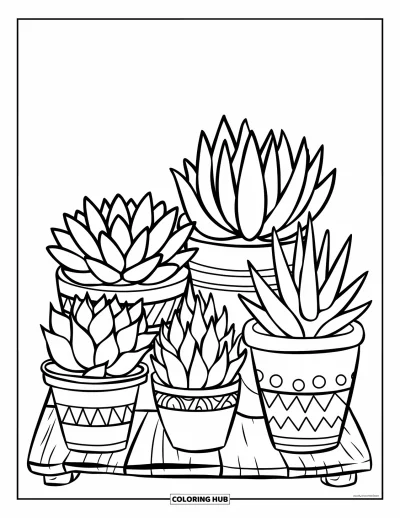 Coloriage de succulentes pour enfants : Cinq succulentes dans différents pots alignées sur une planche en bois, sur fond blanc