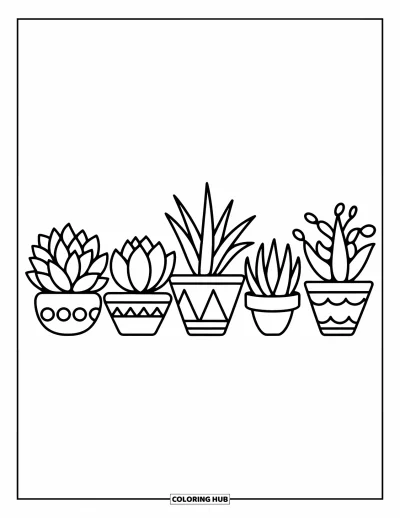 Coloriage de succulentes pour enfants : Cinq succulentes aux formes audacieuses sont placées dans des pots à motifs, disposées soigneusement en rangée
