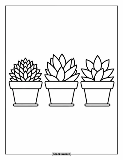 Coloriage de succulentes pour enfants : Des succulentes avec des courbes douces et des textures douces sont assises soigneusement dans leurs pots