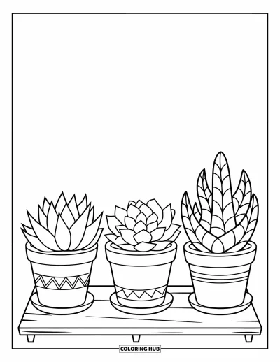 Coloriage de succulentes pour enfants : Trois succulentes dans des pots de base sont assises dans une rangée soignée sur une planche en bois