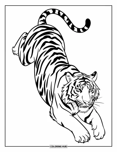 Coloriage de tigres pour enfants : Un tigre puissant bondit en plein air, les muscles tendus dans un élan d’énergie