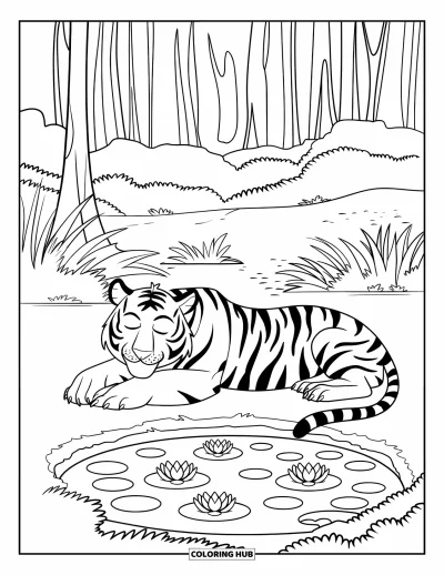 Coloriage de tigres pour enfants : Un tigre détendu se repose près d’un étang, entouré de nénuphars et de verdure luxuriante