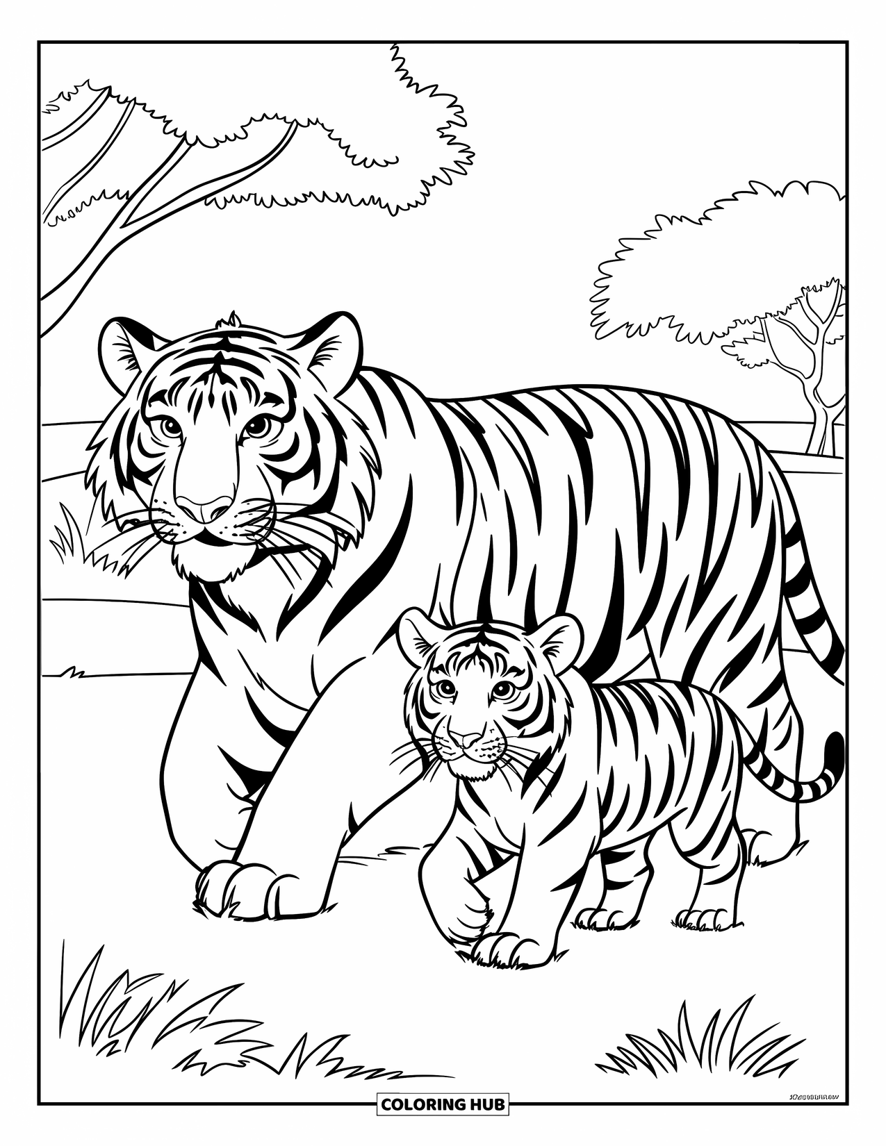 Tiger Ausmalbild für Kinder: Ein Tiger und ein Junges, die durch die Savanne schlendern und Seite an Seite in der warmen Sonne gehen