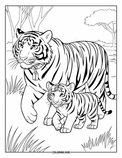 Coloriage de tigres pour enfants : Un tigre guide son petit à travers les prairies, leurs queues se balançant à l’unisson