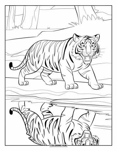 Coloriage de tigres pour enfants : Un tigre longe une rive, sa silhouette puissante se reflétant dans le courant