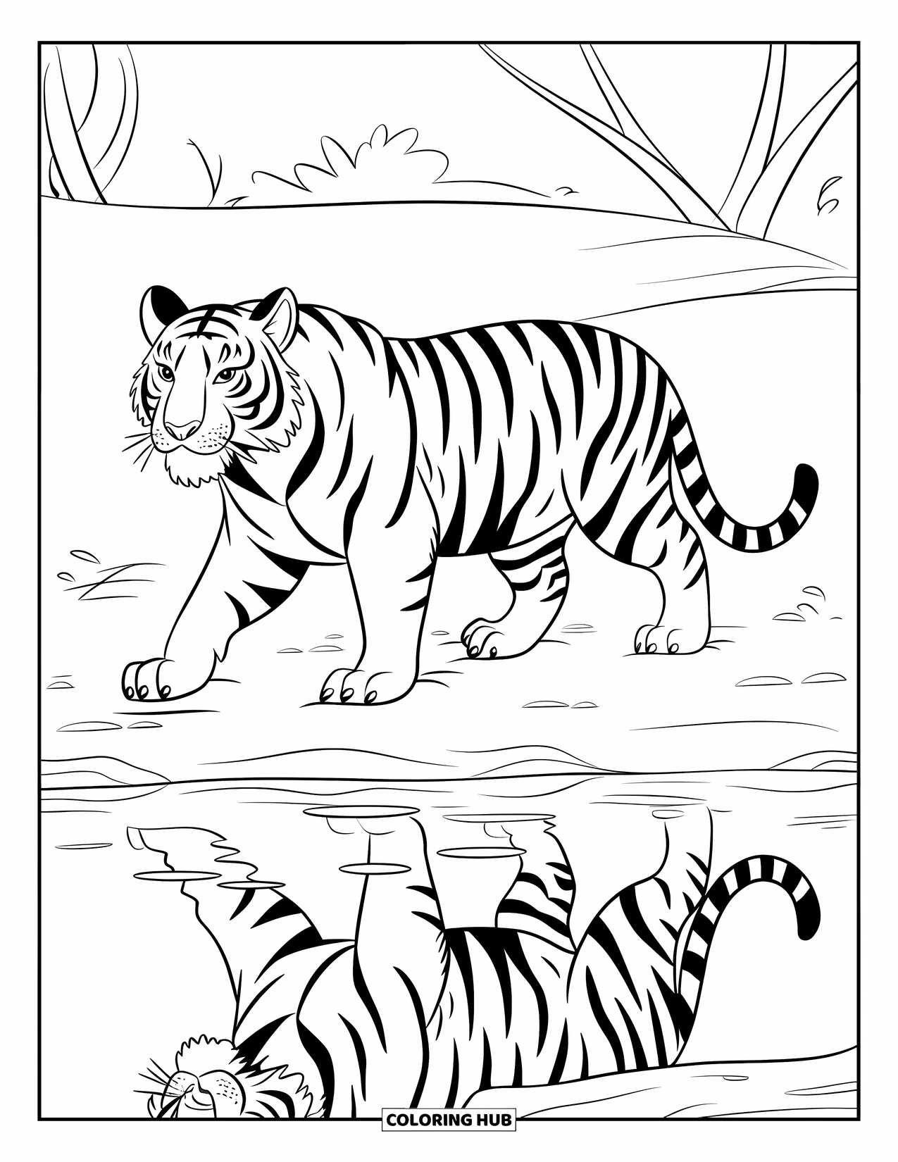 Tiger Ausmalbild für Kinder: Ein Tiger, der selbstbewusst an einem Flussufer entlanggeht, wobei sich sein Spiegelbild im Wasser kräuselt