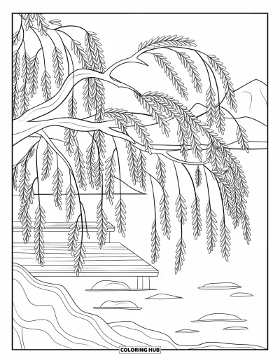 Dibujo de árboles para colorear para adultos: Un sauce de ramas fluidas y hojas delineadas, junto al agua con rocas y un muelle de madera