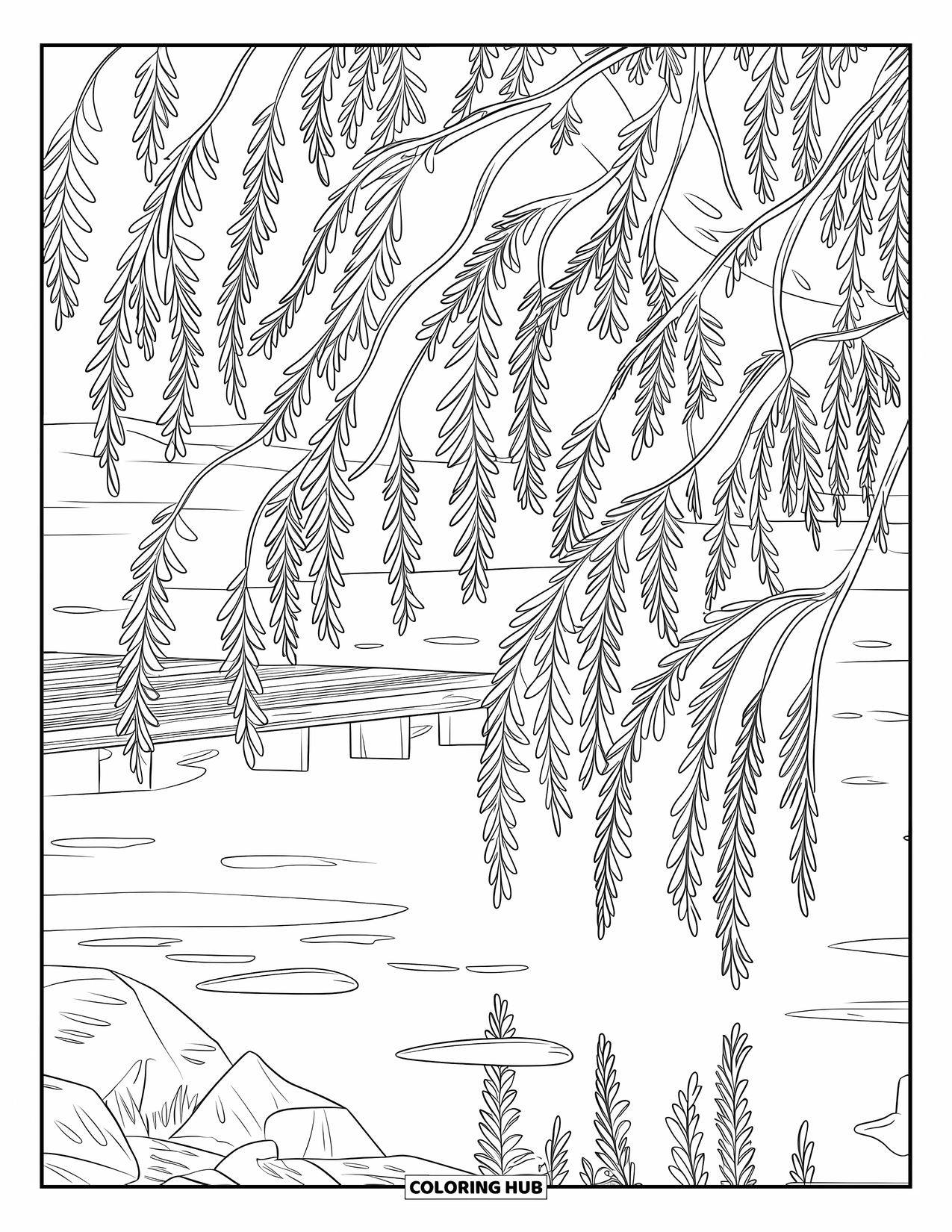 Tree Coloring Page for Adults: A willow tree with flowing branches, reflections on water, and a rustic platform and rocks
