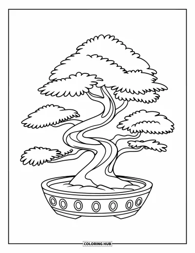 Dibujo de árboles para colorear para niños: Un bonsái en maceta baja con hojas, marcas decorativas y diseño sencillo