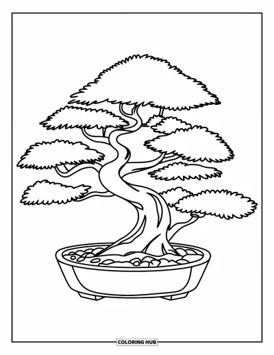 Dibujo de árboles para colorear para niños: Un bonsái de ramas suaves en una maceta baja, con guijarros en el fondo