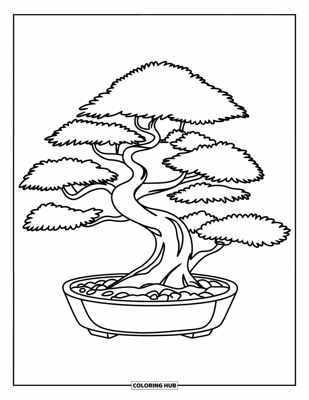 Tree Coloring Page for Kids: A bonsai tree with smooth branches in a shallow pot, with pebbles at the bottom