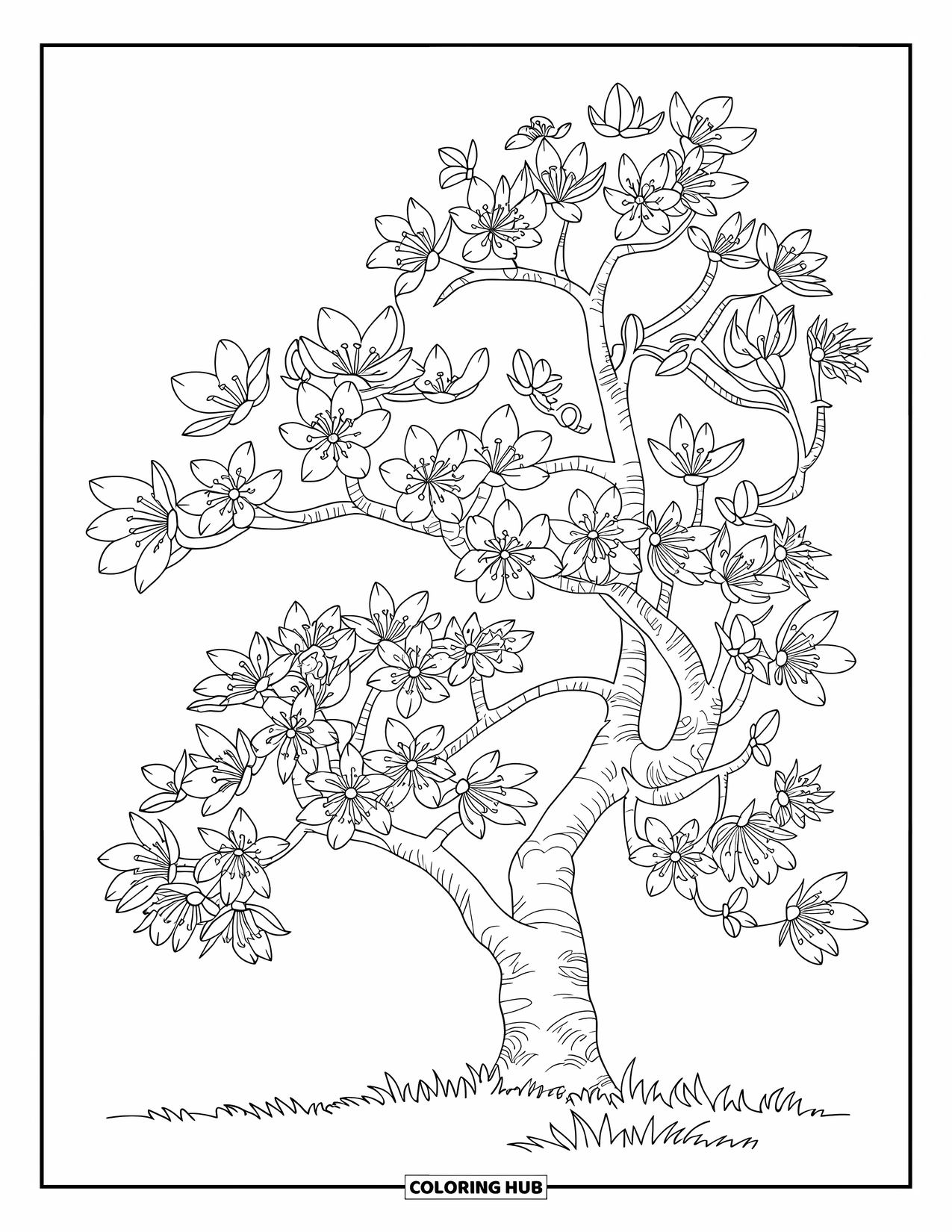 Tree Coloring Page for Kids: A cherry blossom tree with flowers in various stages of blooming, standing on grassy ground
