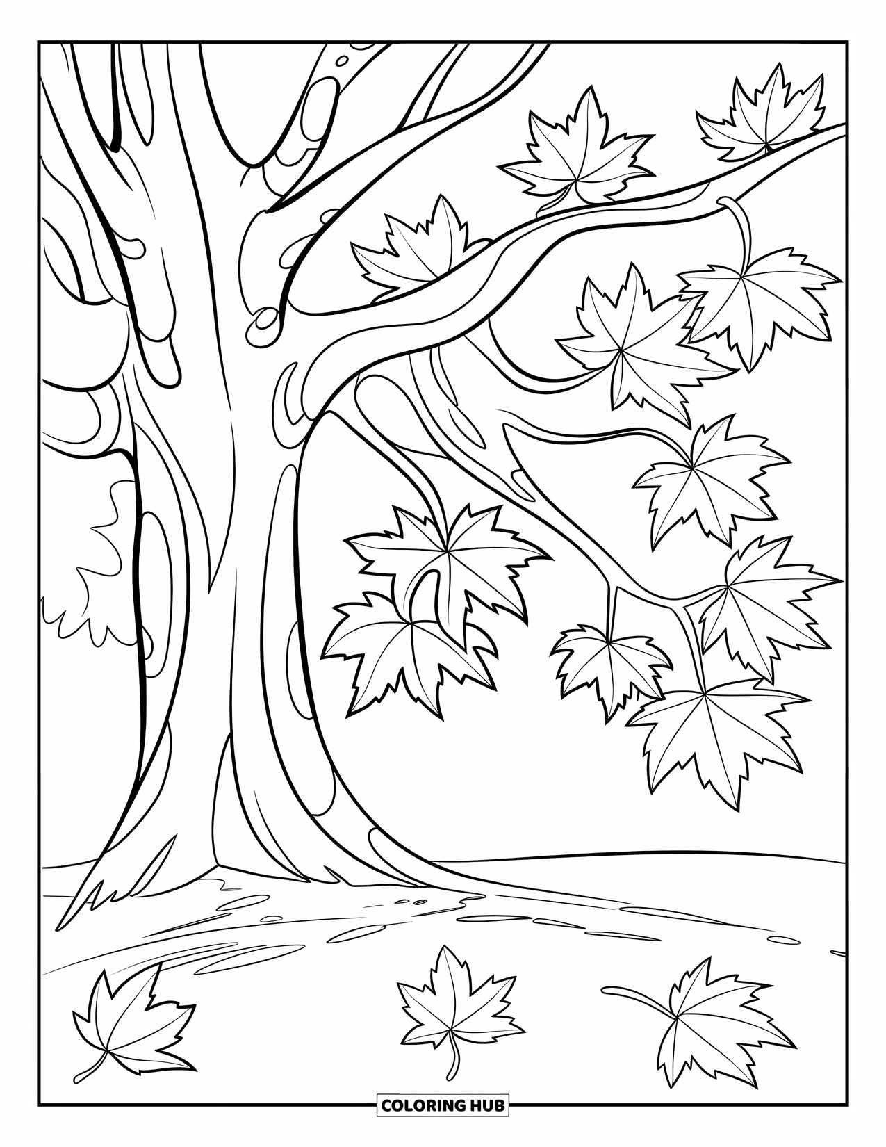 Tree Coloring Page for Kids: A maple tree with distinct leaves, scattered leaves, and a white background